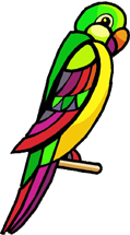 kubuli_bird_rt